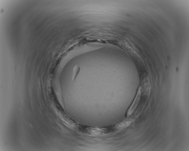 X0000087690229200705181802