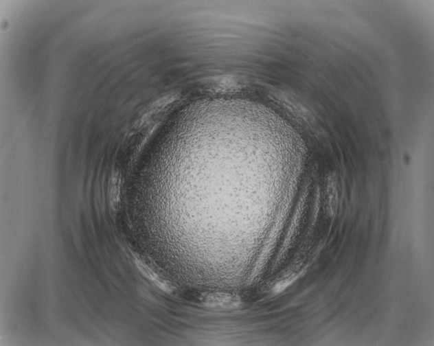 X0000087690230200705181802