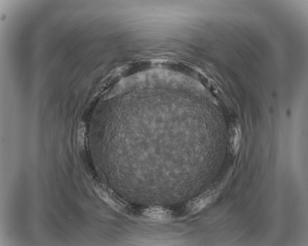 X0000087690231200705181802