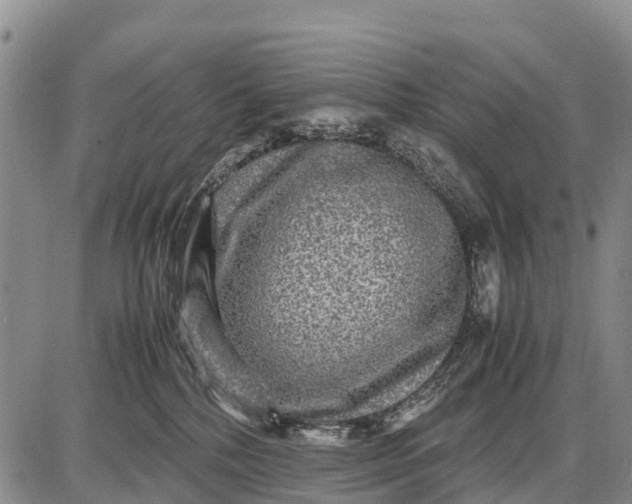 X0000087690232200705181802