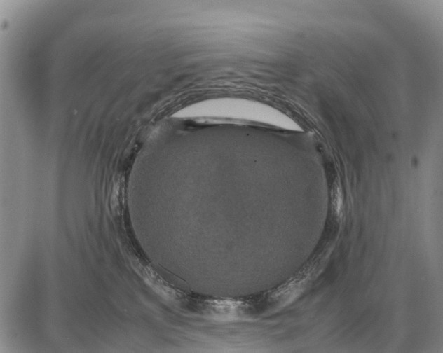 X0000087690233200705181802