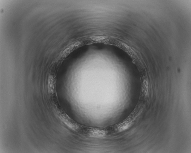 X0000087690234200705181802