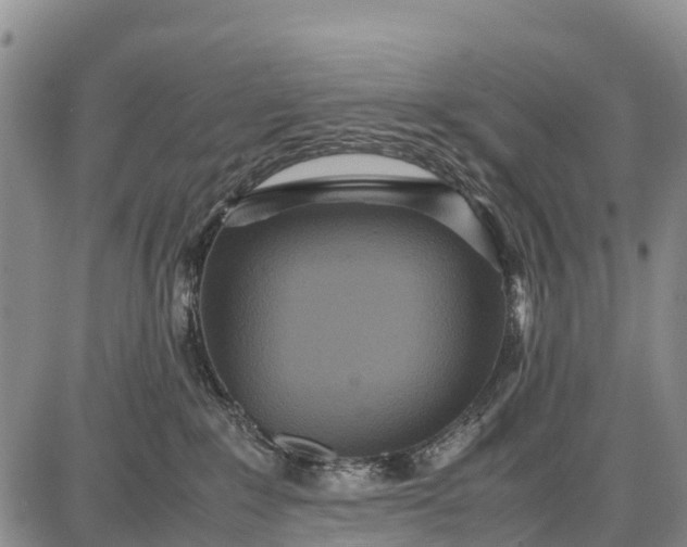 X0000087690235200705181802