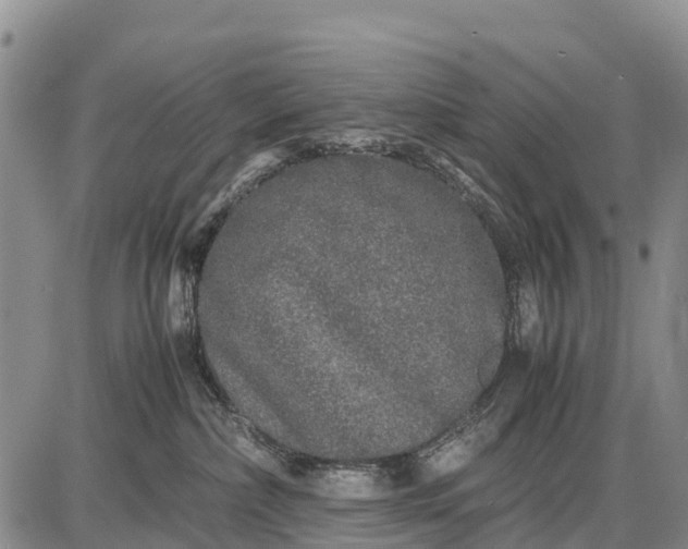 X0000087690236200705181802