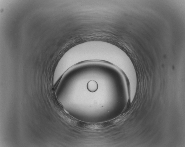 X0000087690237200705181802