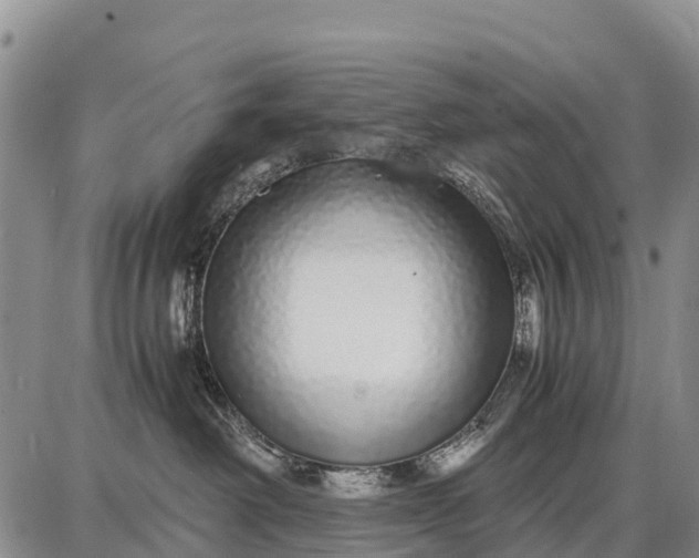 X0000087690238200705181802