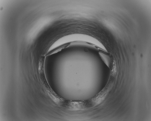 X0000087690239200705181802