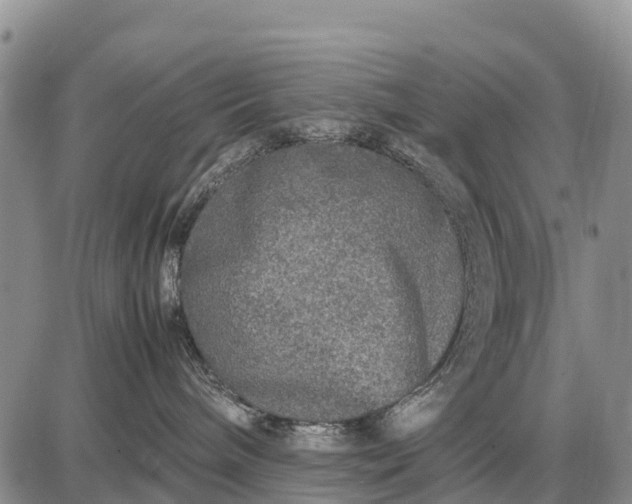 X0000087690240200705181802