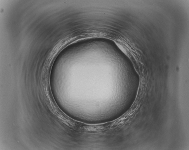 X0000087690241200705181801