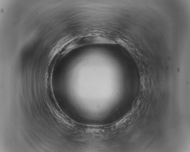 X0000087690242200705181801