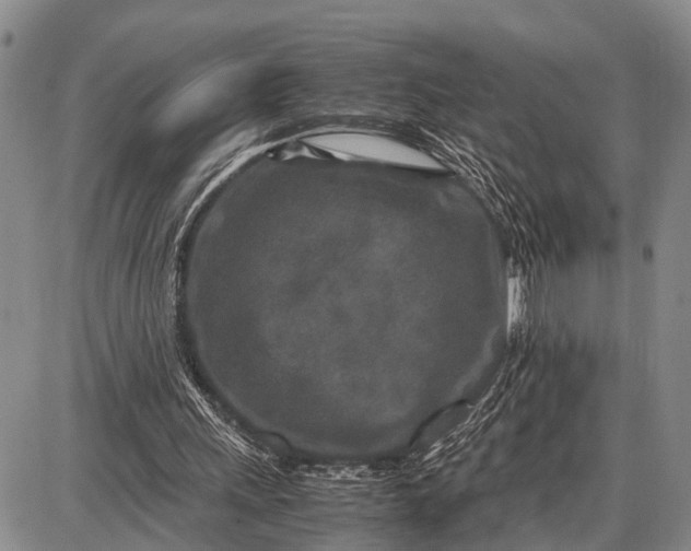 X0000087690243200705181802