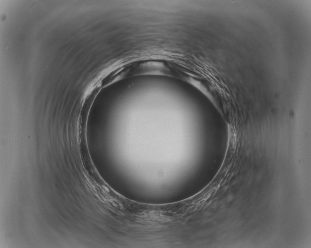 X0000087690244200705181802