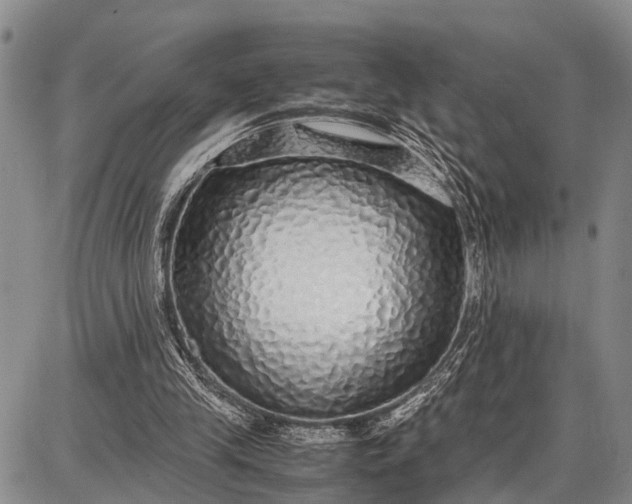 X0000087690245200705181802