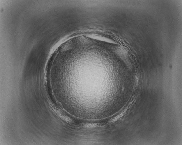 X0000087690246200705181802