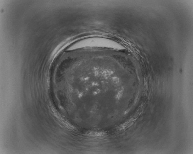 X0000087690247200705181802