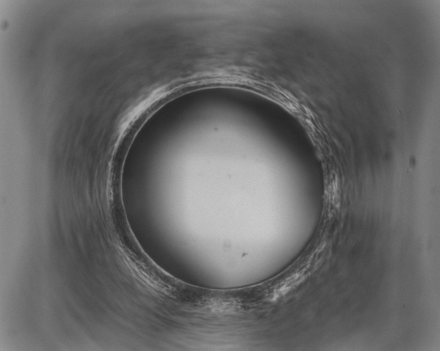 X0000087690248200705181802