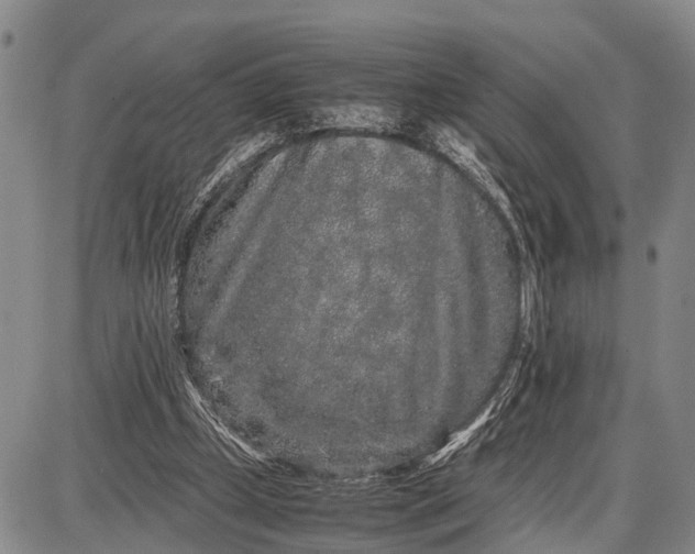 X0000087690249200705181802