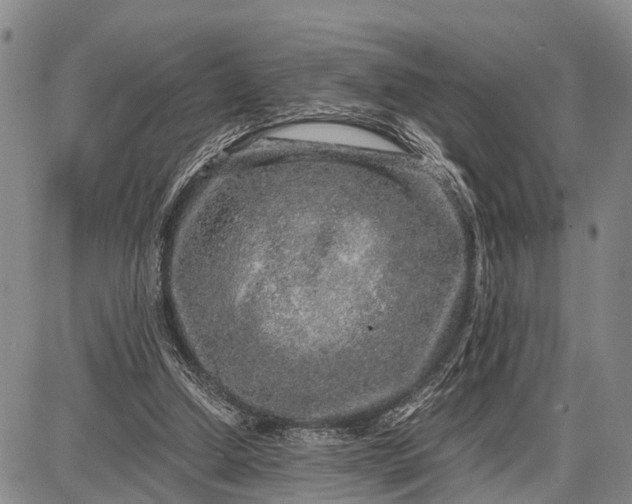 X0000087690250200705181802