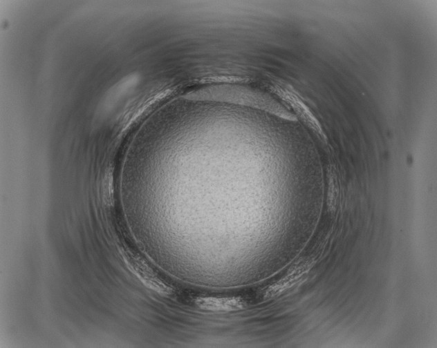 X0000087690251200705181802