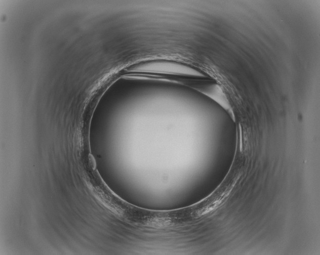 X0000087690252200705181802