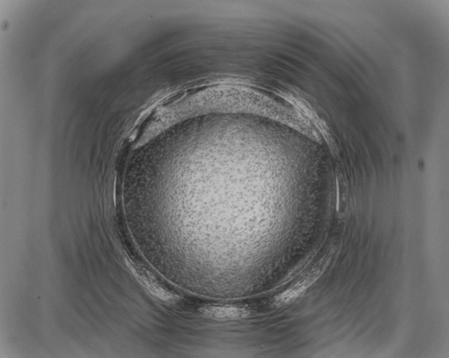 X0000087690253200705181802