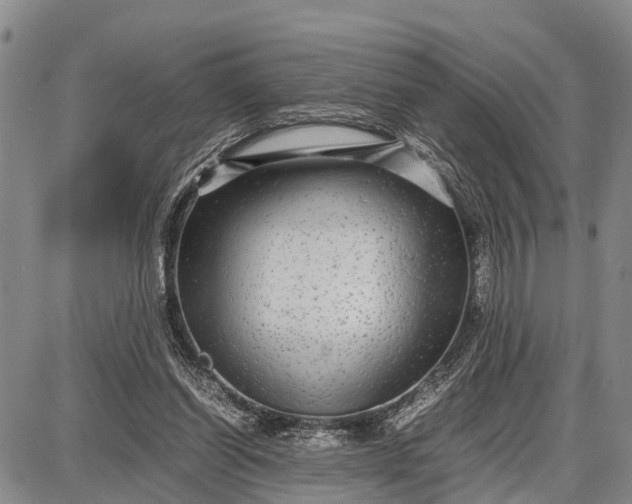 X0000087690254200705181802