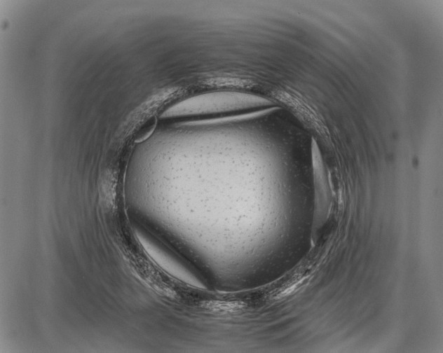 X0000087690255200705181802