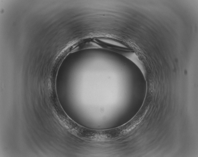 X0000087690256200705181802