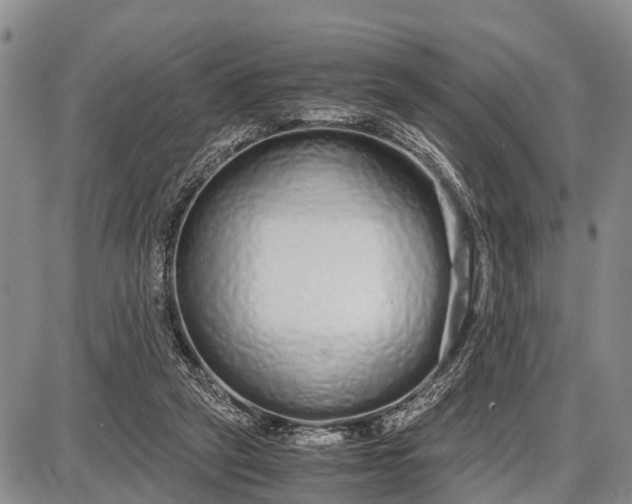 X0000087690257200705181802