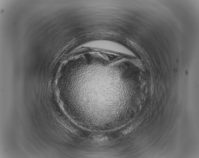 X0000087690258200705181802