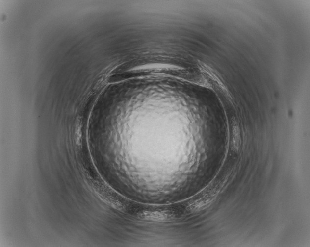 X0000087690259200705181802