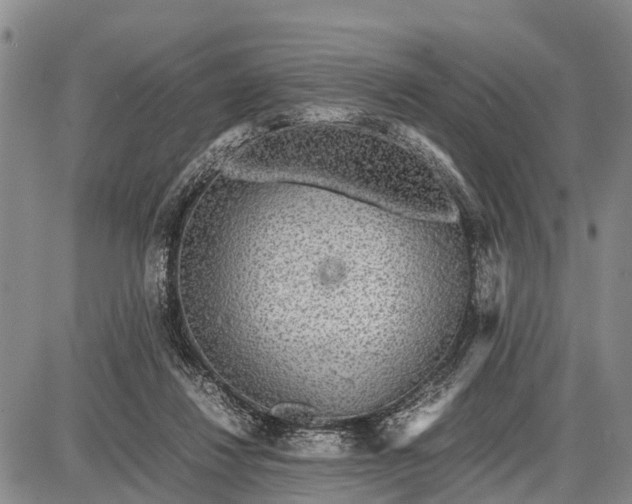 X0000087690260200705181802