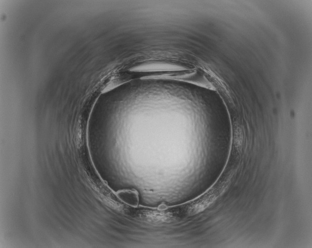 X0000087690261200705181802