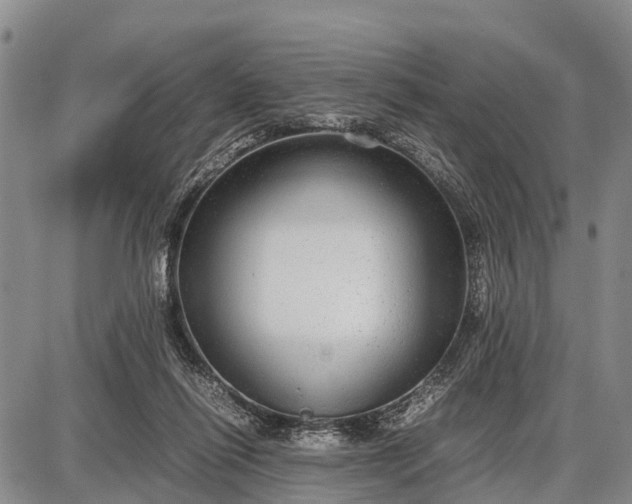 X0000087690262200705181802