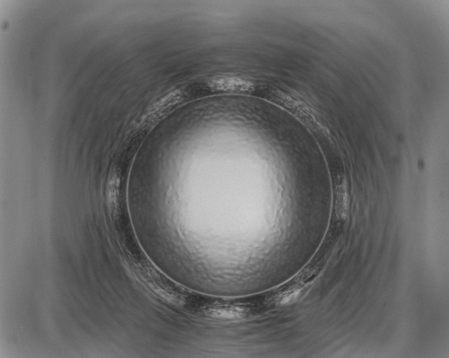 X0000087690263200705181802