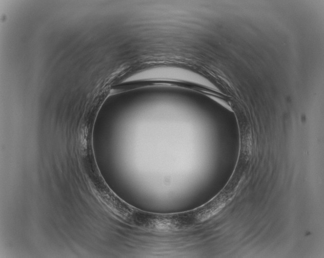 X0000087690264200705181802