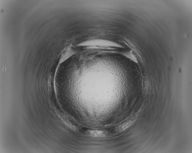 X0000087690265200705181802