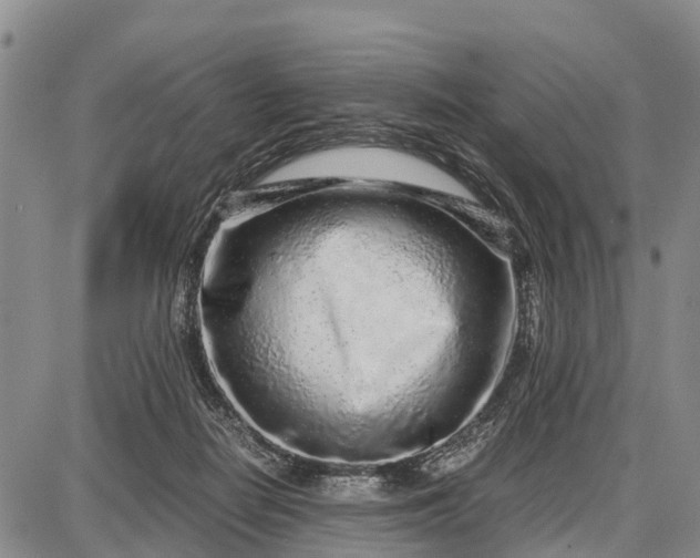 X0000087690266200705181802