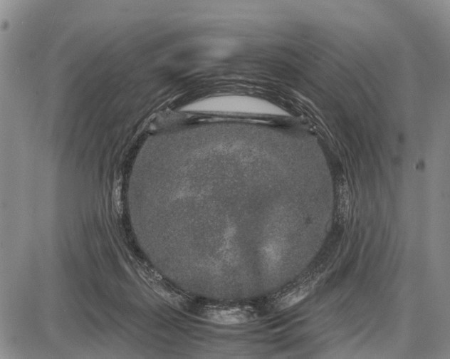 X0000087690267200705181802