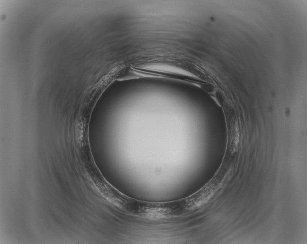 X0000087690268200705181802