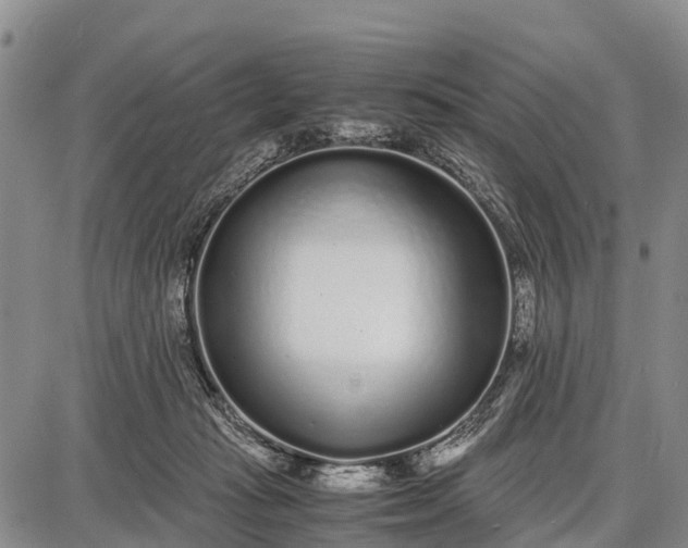 X0000087690269200705181802