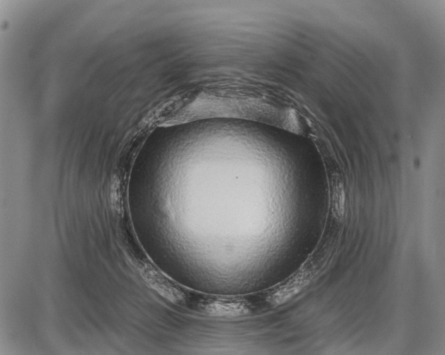 X0000087690270200705181802