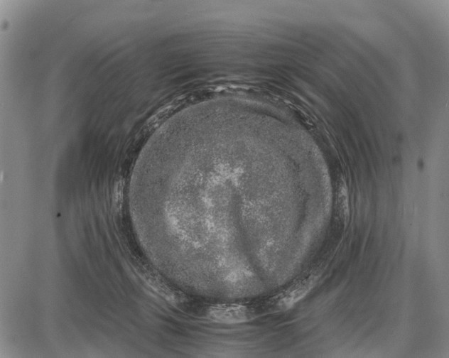 X0000087690271200705181802