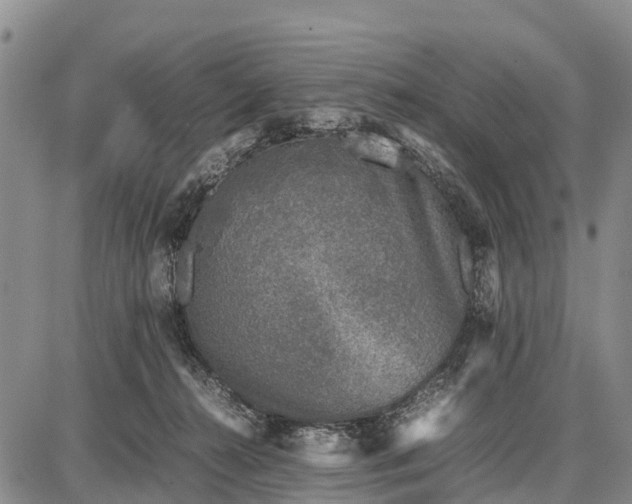 X0000087690272200705181802