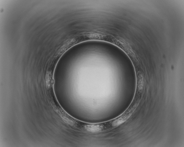 X0000087690273200705181802