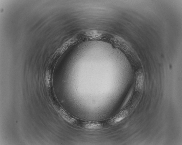 X0000087690274200705181802