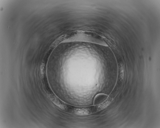 X0000087690275200705181802