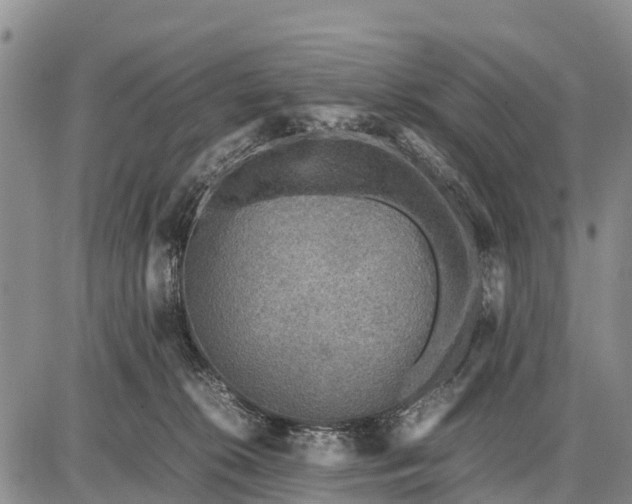 X0000087690276200705181802