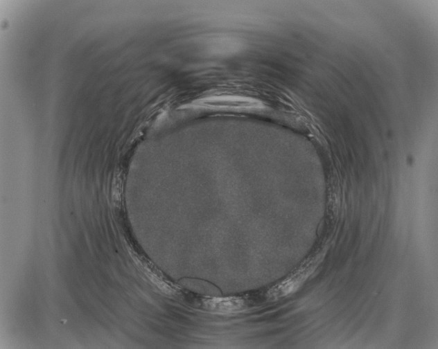 X0000087690277200705181802