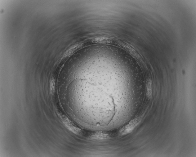 X0000087690278200705181802